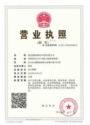 武漢愛維迪財(cái)務(wù)代理